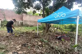 这块地荒草丛生，把草晒干烧了当肥料一举两得视频封面