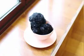 黑色卷毛玩具狗茶杯犬小狗，有没有人想要的