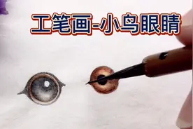 工笔画-小鸟眼睛的画法