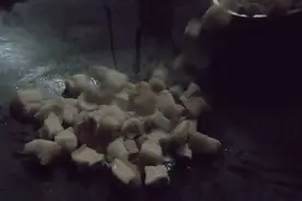 一瓶可乐，3斤猪肉，自制可乐炖猪肉，做得失败不过味道很不错