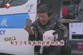 孙红雷调侃狗狗长得像黄渤，却不知道还有更像的在后面呢，笑死了视频封面