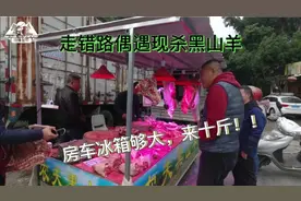 黑山羊比白山羊贵五元，是真好吃还是心里作用？房车冰箱要够大！