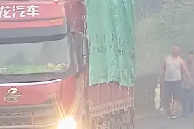 两男子高速上违停车捡羊 民警怒斥：4天前有人因此举丢命视频封面