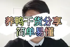 鸭摇头，歪脖子是什么病？这两种病养鸭必知，精华！
