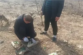 可恶的老鼠爱掏洞，来，最好的堵老鼠洞的方法来了，学起来视频封面