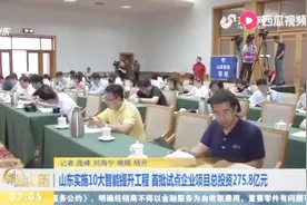 山东实施10大智能提升工程，首批试点企业项目总投资275.8亿元视频封面