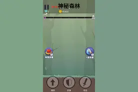 意思是该公司BSV