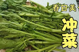 四川冲菜，用鼻子感受的中式芥末，怎样做冲鼻子有窍门视频封面