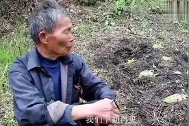 70岁老汉每天背着女孩上山，村民偷跟调查，终于揭开真相！视频封面