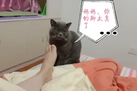 想用妈妈的脚挠挠痒，妈妈的脚太臭了，都快把我熏死了视频封面