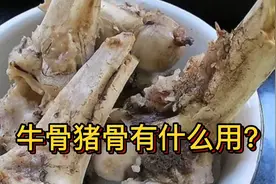 牛骨猪骨有什么用？为什么有人回收牛骨猪骨？回收老板告诉你真相视频封面