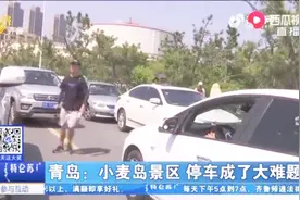 青岛小麦岛景区车挤车，停车场还不对外开放，游客停车难疯狂吐槽视频封面