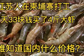 江苏人在柬埔寨过年，33块钱买了4斤大虾，大家认为值不值？视频封面