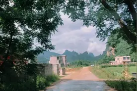 美女驾校学车上路，这是我见过最笨的女学员，把教练都气懵了视频封面