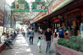 顺德长鹿农庄园旅游休博园