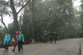 网传昆明下雪了，一大早怀着激动心情爬西山看雪，结果很悲催视频封面