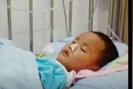 母亲哼唱“世上只有妈妈好” 唤醒植物人儿子