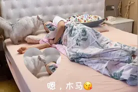 出差一周回家，身体不适，被我家猫的举动感动哭！#激萌奖金计划#