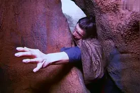 小孩误跌入深崖，醒来发现有个洞口，进去后他看到了世外桃源视频封面
