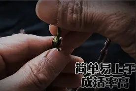 嫁接树状月季，一种操作简单且成活率较高的嫁接方法，干货分享！视频封面