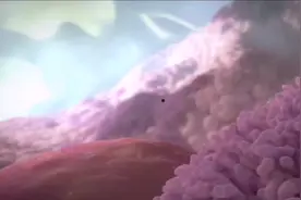 病毒与人体免疫系统的战争，场面像好莱坞大片！视频封面