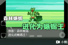 口袋妖怪:森林蜥蜴进化为蜥蜴王了！视频封面