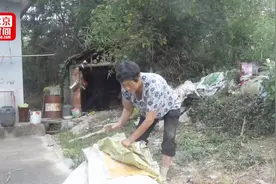 诚信母亲拾荒15年替过世儿子还债10万元 靠打零工抚养孙子视频封面
