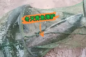 冬天，玉米钓青鱼行不行？效果让人意想不到！视频封面