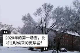 黑龙江齐齐哈尔下第一场雪了，好早呀！树挂美景满街！