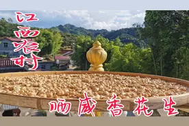 江西农村做咸香花生，先煮2小时后晒5天，咸香松脆放半年不回潮视频封面