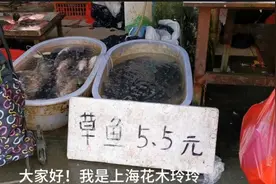 实拍上海浦东十八铺农产品批发市场水产区，品种很丰富，价格便宜视频封面