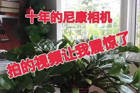 这么老的相机拍出的视频比任何手机都好！视频封面