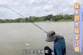 端午节想让老婆同意你去钓鱼的最好办法，就是这样，比我还激动