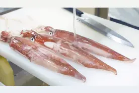 新鲜漂亮的大鱿鱼，制作刺身的切法很挑剔！视频封面