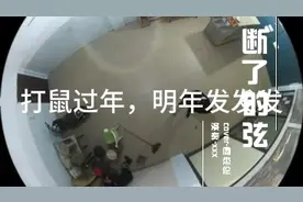 十斤多的大老鼠咬死人视频封面