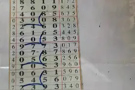 七星彩2358期规律走势视频封面