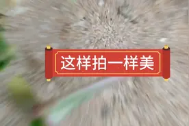 巧用手机摄像头微距拍摄，这样拍你也能拍出优美的画面，你一定行