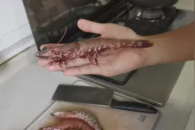 野生大海虾，简单的做饭法，美味啊！