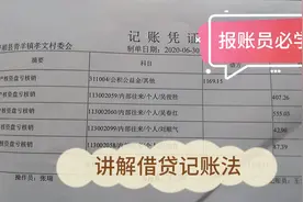 农村报账员（村会计）日常工作之记账，看完还都抢着干吗？视频封面