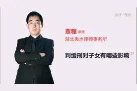 判缓刑对子女有哪些影响视频封面