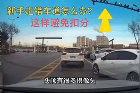 路口走错车道怎么办？老司机告诉你2个方法，新手开车避免慌张