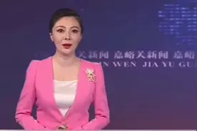 嘉峪关市陇民工工资发放基础台账标准化建设推进会视频封面