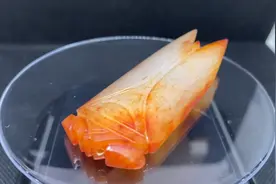 捡漏王淘到一块汉代玉蝉，汉八刀工艺，汉代玉蝉的多种用途及特征