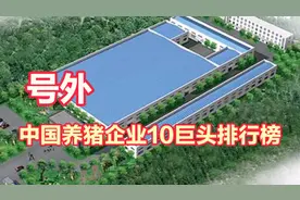 19年中国养猪十大企业，全国布局，看看哪家发展到您家门了。视频封面