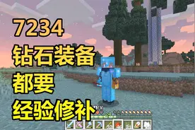 火焰解说 我的世界 1.14纯生存 7234 钻石装备都要经验修补