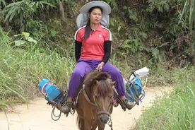壮乡妹骑马上山做工，差点让马打架给掀下马来，吓得说话都打哆嗦视频封面