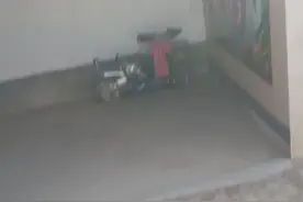 大家看到了吗视频封面