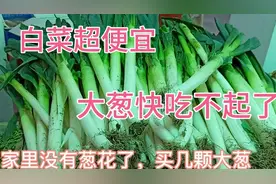 最近山东大葱价格暴涨，宝妈去超市买菜，看看大葱多少钱一斤？视频封面