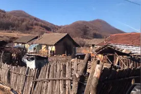 辽宁第一高的岗山，沟里还住着几户人家，没白跑一趟收了二斤蘑菇视频封面