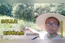 农村小伙后院杂草丛生不敢下脚，拿来割草机直接清理干净了